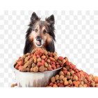 Pienso para perros sin cereales